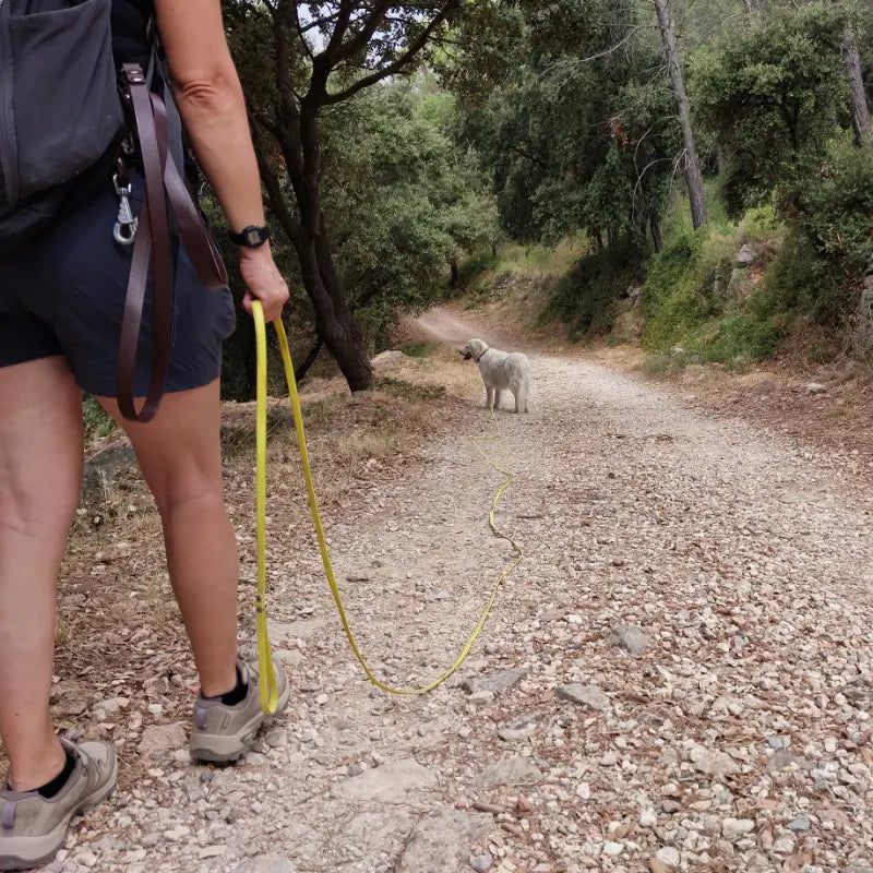 Main tenant une longe KLYP en Biothane® avec un chien au bout, tandis qu'une laisse réglable KLYP est fixée à un sac à dos lors d'une sortie en extérieur.