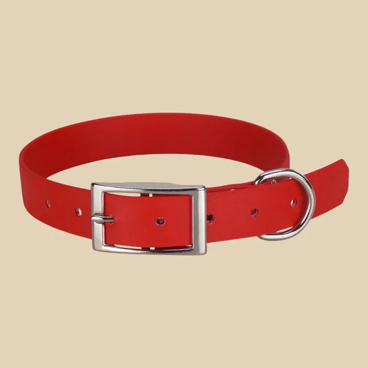 Collier classique KLYP en Biothane® Beta avec bouclerie résistante pour chien
