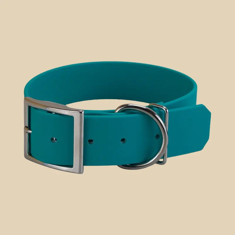 Collier large KLYP en Biothane® Beta pour chien de grande taille