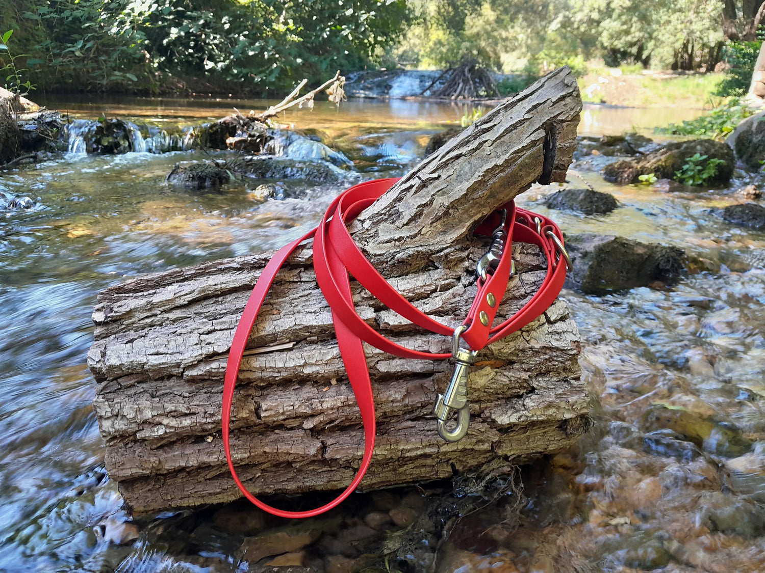 Laisse réglable rouge en Biothane® KLYP posée sur un tronc au cœur d’une rivière, dans un environnement naturel.