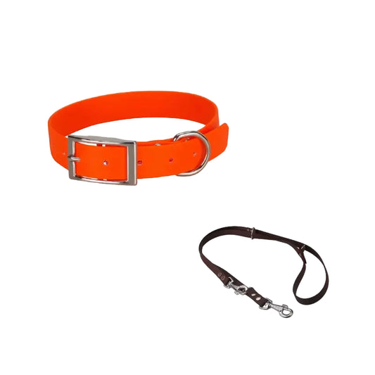 Système pour chien avec collier et laisse en Biothane