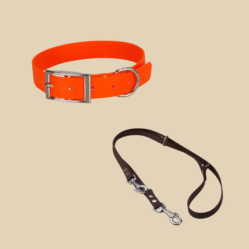 Systeme Duo KLYP Classique avec collier classique et laisse reglable en Biothane® pour chien