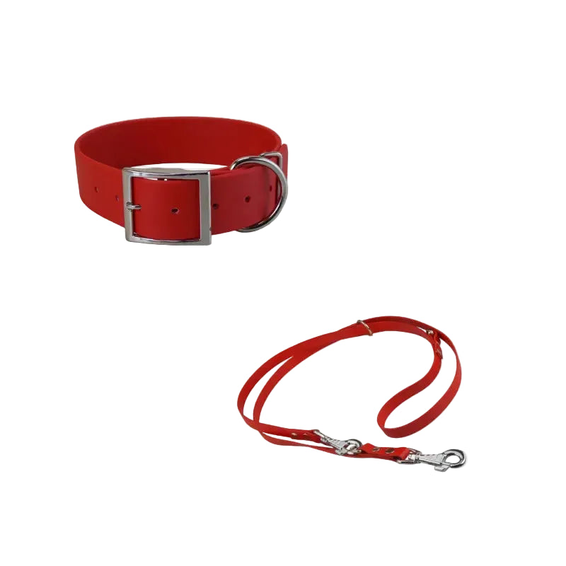 Système pour chien avec collier large et laisse en Biothane