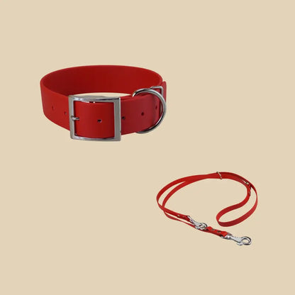 Systeme Duo KLYP Large avec collier large et laisse reglable en Biothane® pour chien