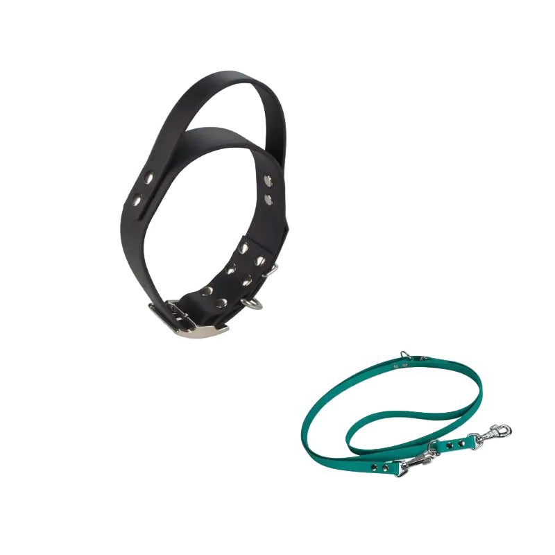 Système pour chien avec collier large avec poignée et laisse en Biothane