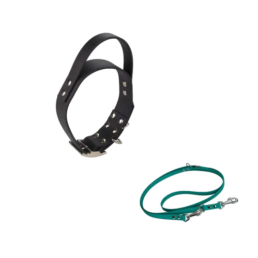 Système pour chien avec collier large avec poignée et laisse en Biothane