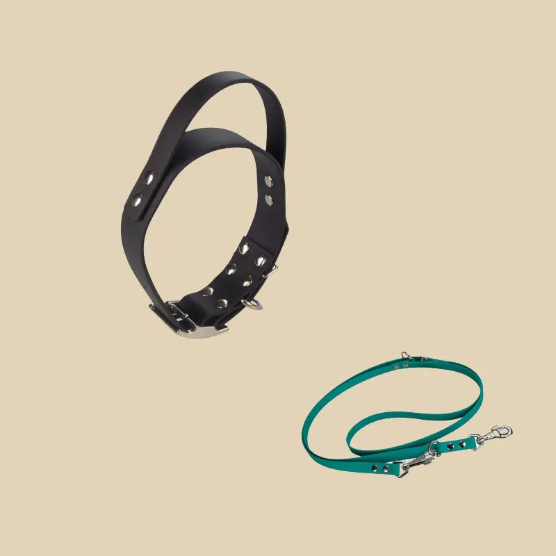 Systeme Duo KLYP Poignée avec collier poignée et laisse réglable en Biothane® pour chien