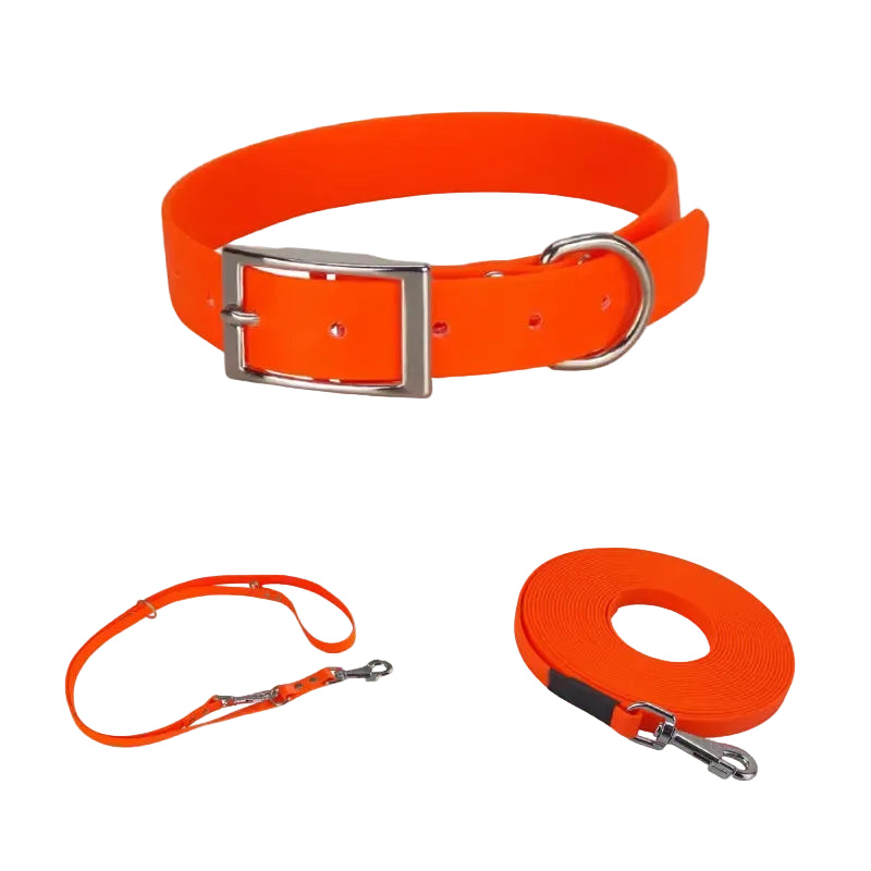 Système pour chien avec collier, laisse et longe en Biothane