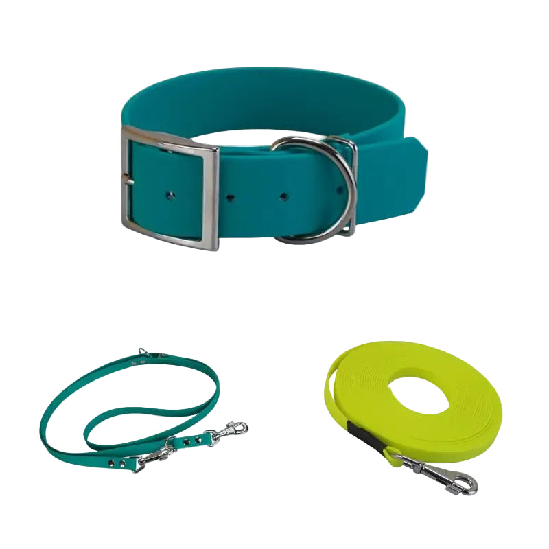 Système pour chien avec collier large, laisse et longe en Biothane