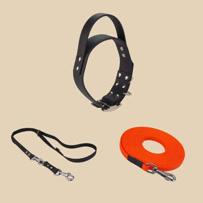 Système Terrain KLYP Poignée avec collier poignée, laisse réglable et longe 10 m en Biothane® pour chien