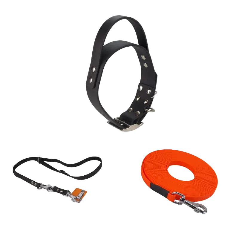 Système pour chien avec collier large avec poignée, laisse et longe en Biothane